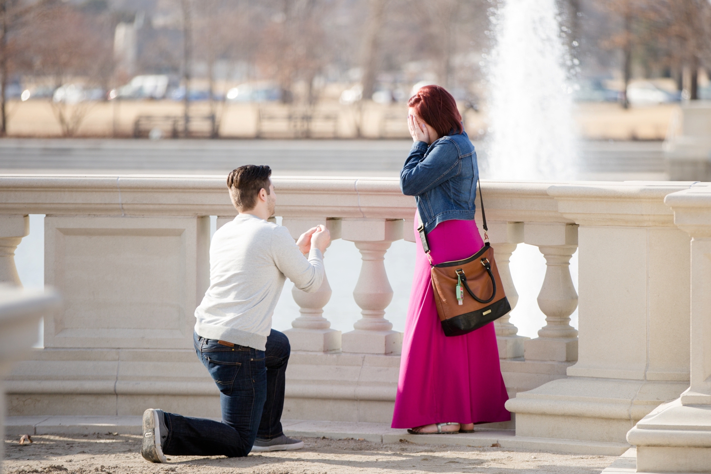 Forest Park Proposal, St. Louis Wedding Photography