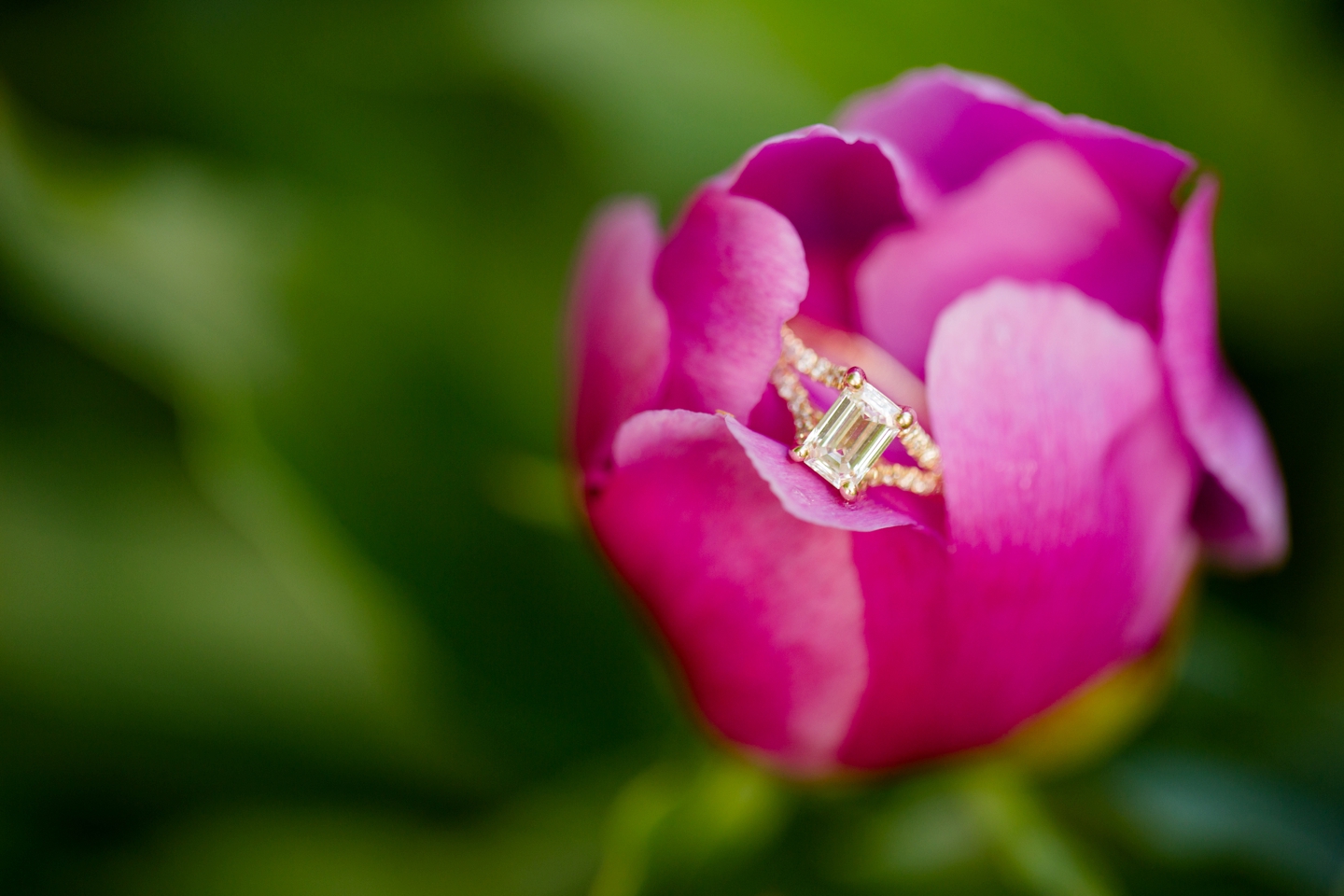 St. Louis Engagement Photography, Jessica Lauren Photography, Mizzou Engagement Session