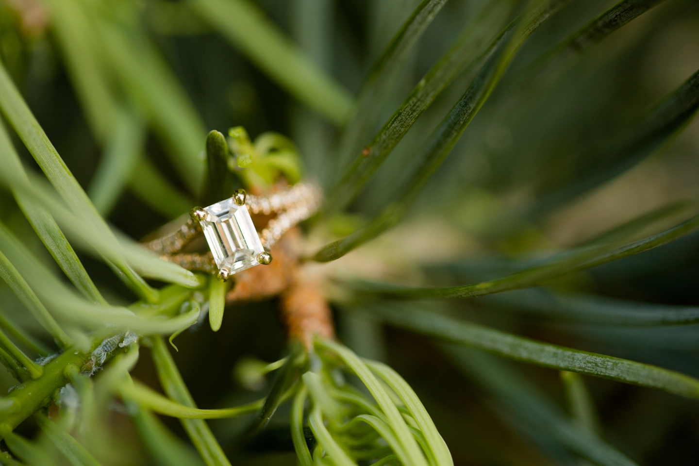 St. Louis Engagement Photography, Jessica Lauren Photography, Mizzou Engagement Session