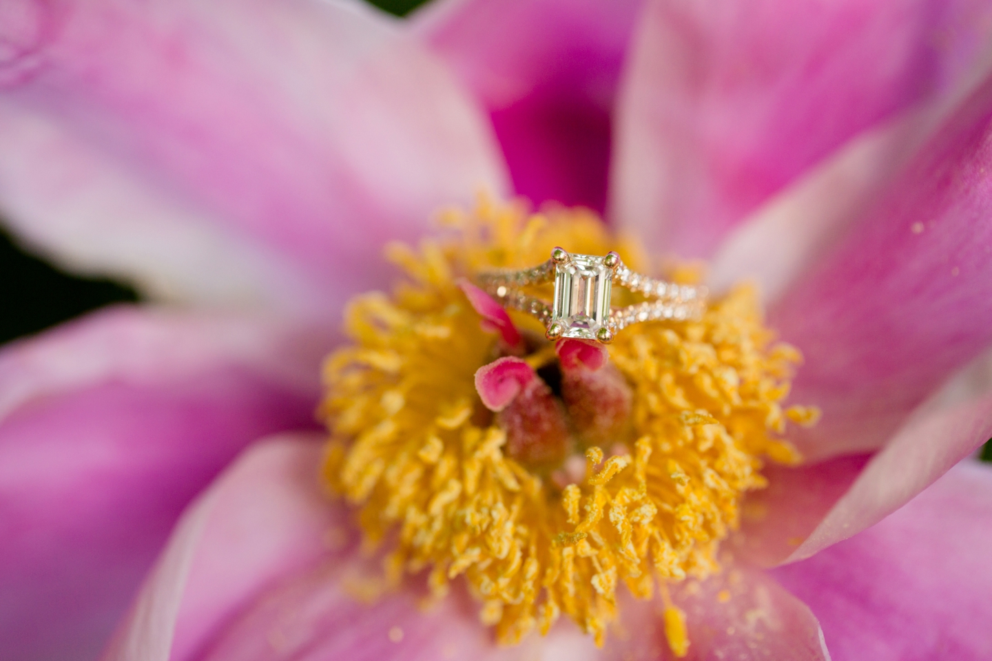 St. Louis Engagement Photography, Jessica Lauren Photography, Mizzou Engagement Session