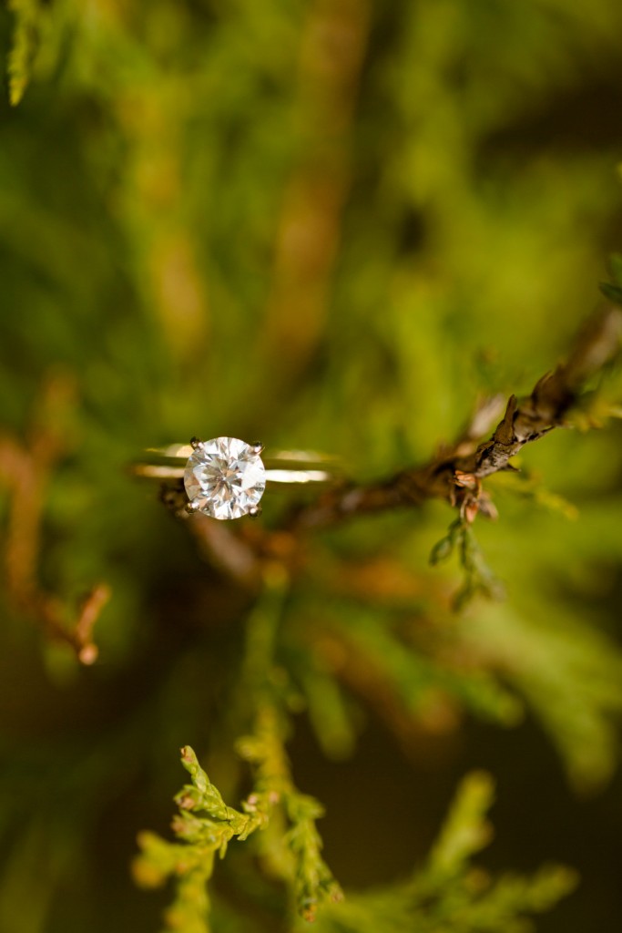 St. Louis Engagement Photographer, Faust Park, Jessica Lauren Photography