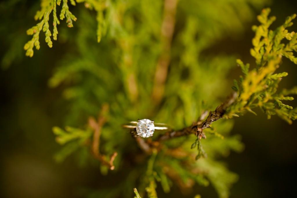 St. Louis Engagement Photographer, Faust Park, Jessica Lauren Photography