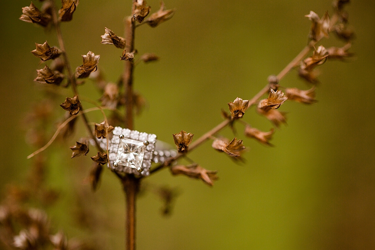 Castlewood State Park Engagement Photos, St. Louis Wedding Photographer, Jessica Lauren Photography