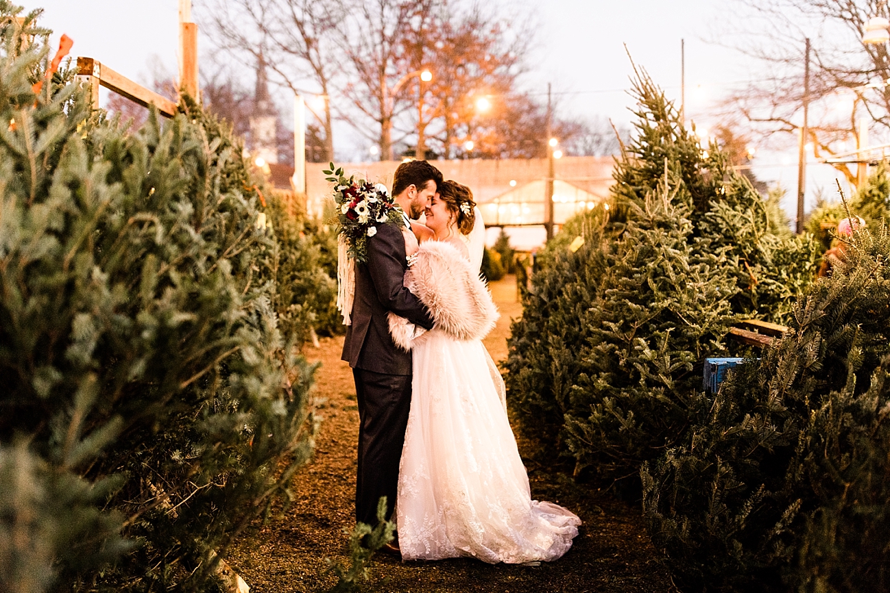 Christmas Tree Farm, Christmas Wedding, 